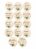 🌿 Eucalyptus Wooden Baby Milestone Discs Set